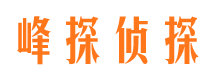 武鸣市私家侦探